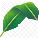 Folhas Tropicais Folhas Meio Ambiente Ícone