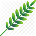 Folhas Tropicais Folhas Meio Ambiente Ícone