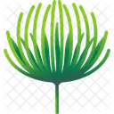 Folhas Tropicais Folhas Meio Ambiente Ícone