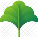 Folhas Tropicais Folhas Meio Ambiente Ícone