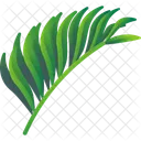 Folhas Tropicais Folhas Meio Ambiente Ícone