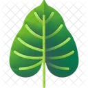 Folhas Tropicais Folhas Meio Ambiente Ícone
