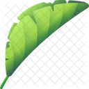 Folhas Tropicais Folhas Meio Ambiente Ícone