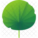 Folhas Tropicais Folhas Meio Ambiente Ícone