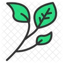 Foliage Nature Leaf Icon