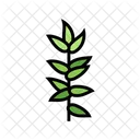 Foliage Branch  Icon