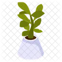 Foliage Houseplant Icon