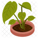 Foliage Houseplant Icon