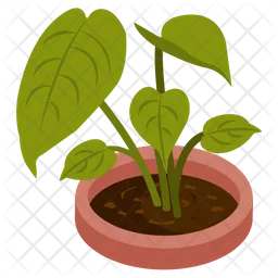Foliage Houseplant  Icon