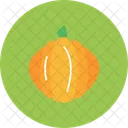 Food Gourd Halloween Icon