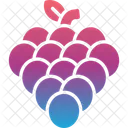 Food Fruit Grape Icon