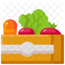 Food Box  Icon