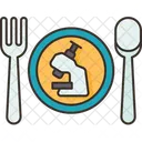 Food Check  Icon