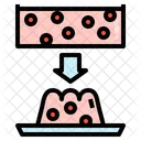 Food Science Food Coagulation Denaturalisation Icon