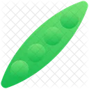 Food Vegetable Bean Icon