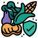 Food Safety Food Vegetable Icon