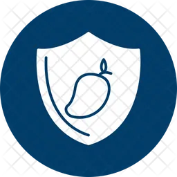 Food shield  Icon