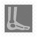 Foot X Ray Copy Icon