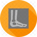 Foot Leg Scan Icon