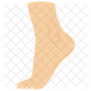 Foot Human Foot Body Part Icon