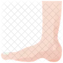 Foot Ankle Leg Icon