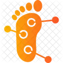 Foot Acupuncture  Icon
