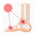 Foot bone  Icon