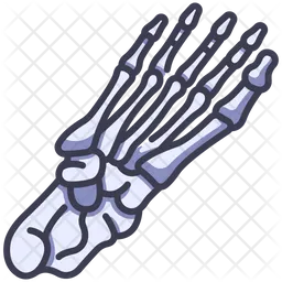 Foot bone  Icon