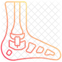 Foot bone  Icon