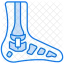 Foot bone  Icon