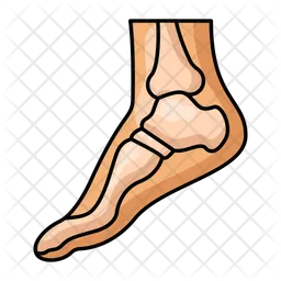 Foot  Icon