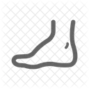 Anatomy Body Bone Icon