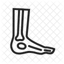 Foot X Ray Icon