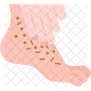 Foot Scrub Pedicure Icon