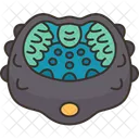 Foot  Icon