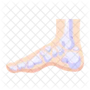 Foot With Bones Human Body Cartoon Icon