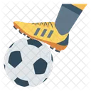 Player Soccer Football Icon