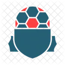 Football Banner  Icon