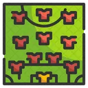 Football Formation Icon