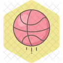 Football Basketball Sport Icon
