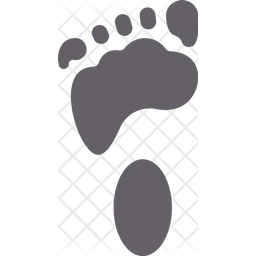 Footprint  Icon