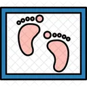 Footprint Paw Animal Icon