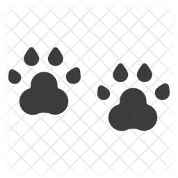 Footprint  Icon