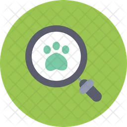 Footprint Search  Icon