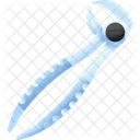 Forceps Medical Equipment Icon