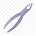 Forceps Extraction Dentist Icon