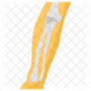 Forearm Fracture Transverse Fracture Fractured Bone Icon