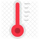 Forecast  Icon