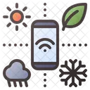 Forecast  Icon