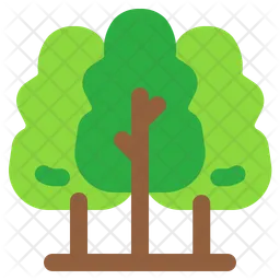 Forest  Icon